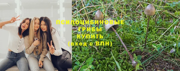 стафф Баксан